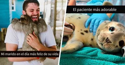 25 Fotos de animales siendo más asombrosos que cualquier humano; ¡son remedio antidepresivo!