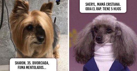 14 Inconfundibles personalidades que Internet recreó con simpáticos perritos