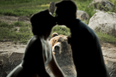 Pareja de novios casándose mientras un oso los ve