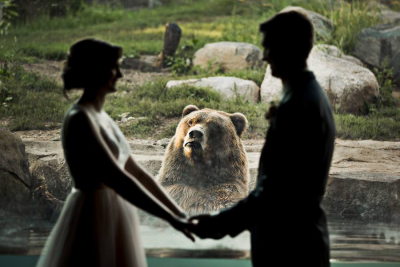 Pareja de novios casándose mientras un oso los ve