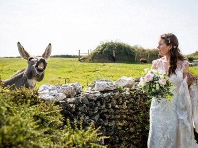 Photobombs de animales