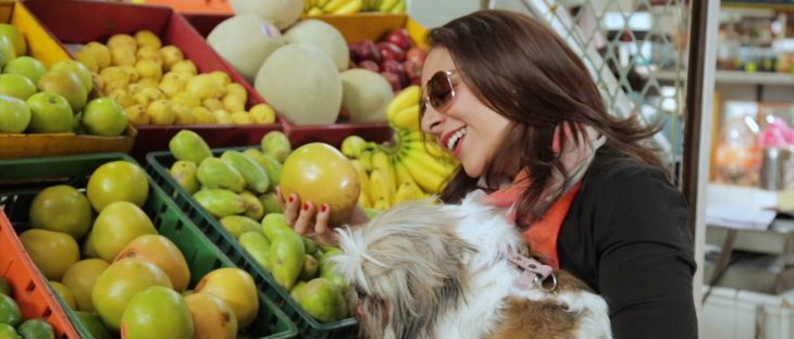 Mujer sosteniendo a un perro mientras están comprando naranjas en un mercado