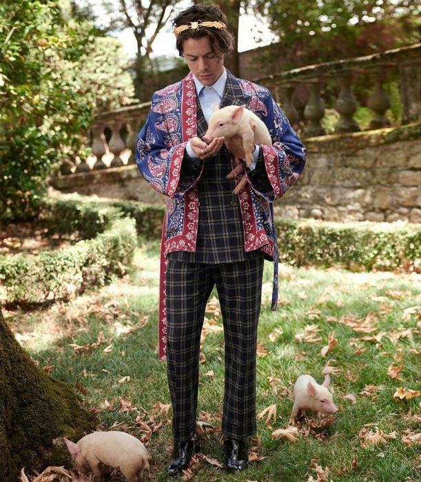 Harry Styles cargando un cochino para la campaña de gucci 