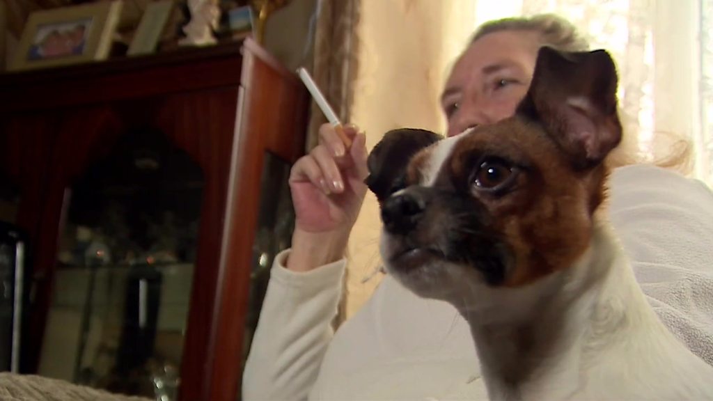 Perro junto a una persona que fuma 