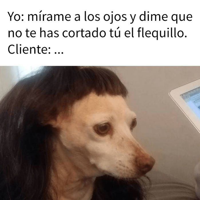 Memes que describen perfectamente la vida de una peluquera con sus clientes 