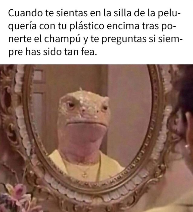 Memes que describen perfectamente la vida de una peluquera con sus clientes 