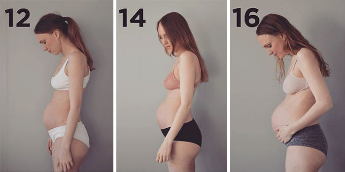 Línea del timpo del progreso de embarazo de una mujer 