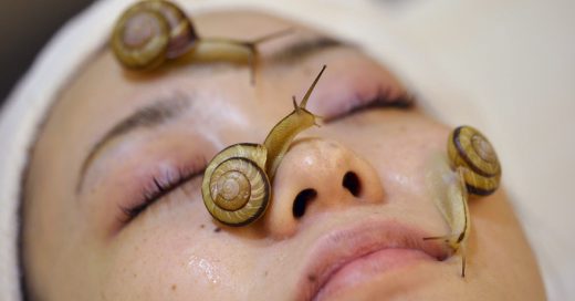 4 Grandes beneficios que aporta la baba de caracol a tu cutis; querrás probarlo ya