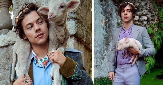 Harry Styles muestra su lado más tierno jugando con animales de la granja