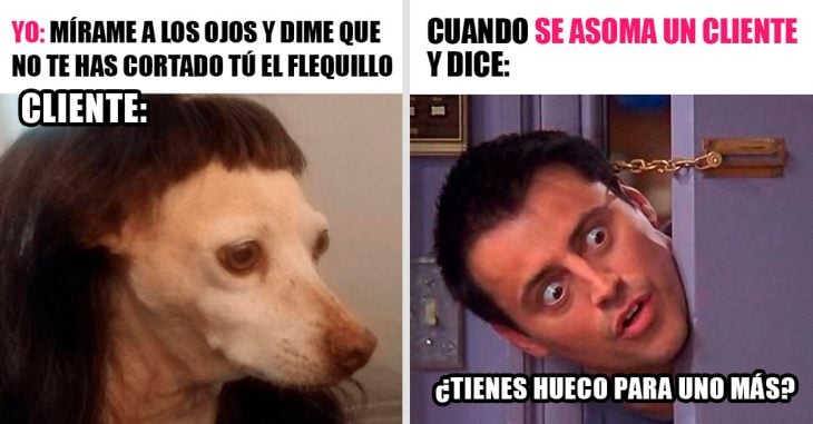 15 Memes que representan lo que callan las peluqueras