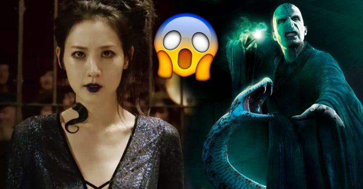 El nuevo trailer de 'Animales Fantásticos 2' ha confirmado una teoría: Nagini, es una mujer