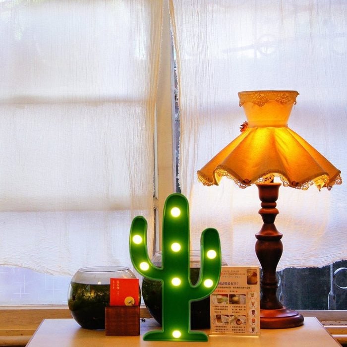 lampara de cactus 