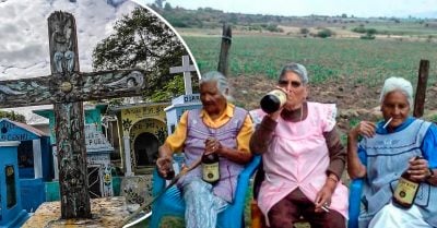 Desenterró a su amiga solo para tener una última noche de copas