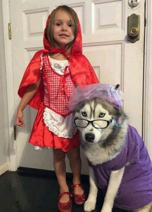 Perro y niña disfrazados de Caperucita Roja y el lobo feroz