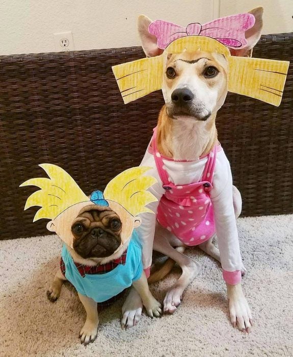 Perros disfrazados de Arnold y Helga