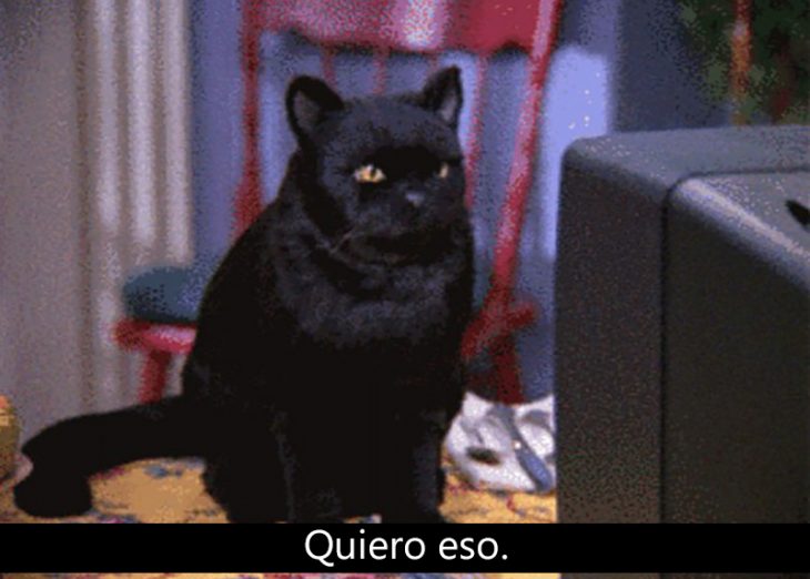 Signos que te dirán si compartes un alma gatuna con Salem Saberhagen