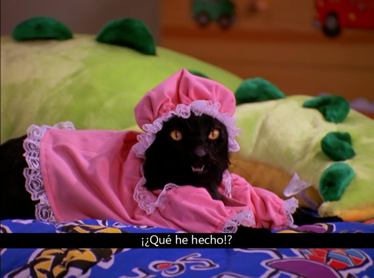 Signos que te dirán si compartes un alma gatuna con Salem Saberhagen