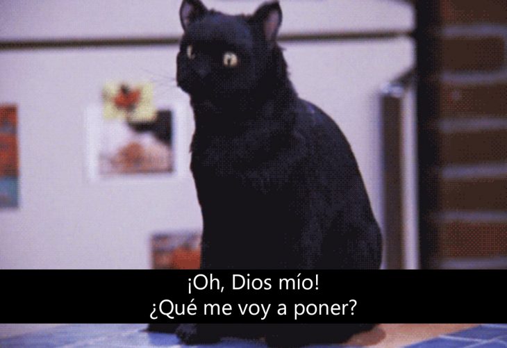 Signos que te dirán si compartes un alma gatuna con Salem Saberhagen