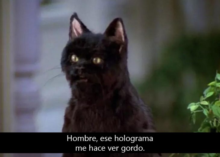 Signos que te dirán si compartes un alma gatuna con Salem Saberhagen