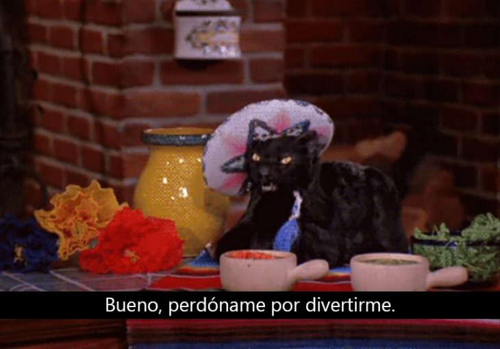 Signos que te dirán si compartes un alma gatuna con Salem Saberhagen