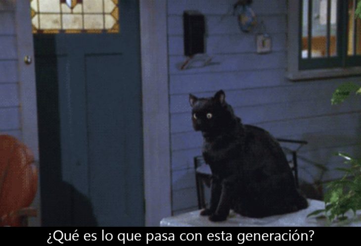 Signos que te dirán si compartes un alma gatuna con Salem Saberhagen