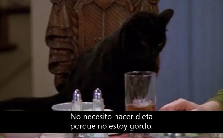 Signos que te dirán si compartes un alma gatuna con Salem Saberhagen