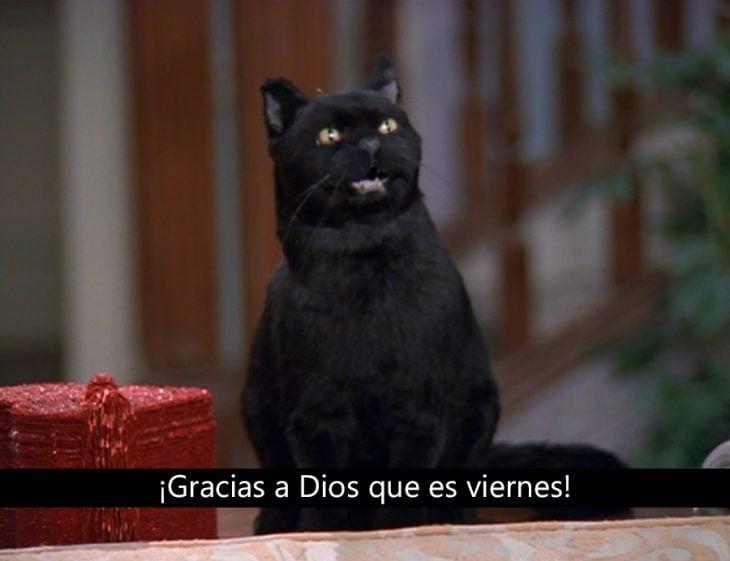 Signos que te dirán si compartes un alma gatuna con Salem Saberhagen