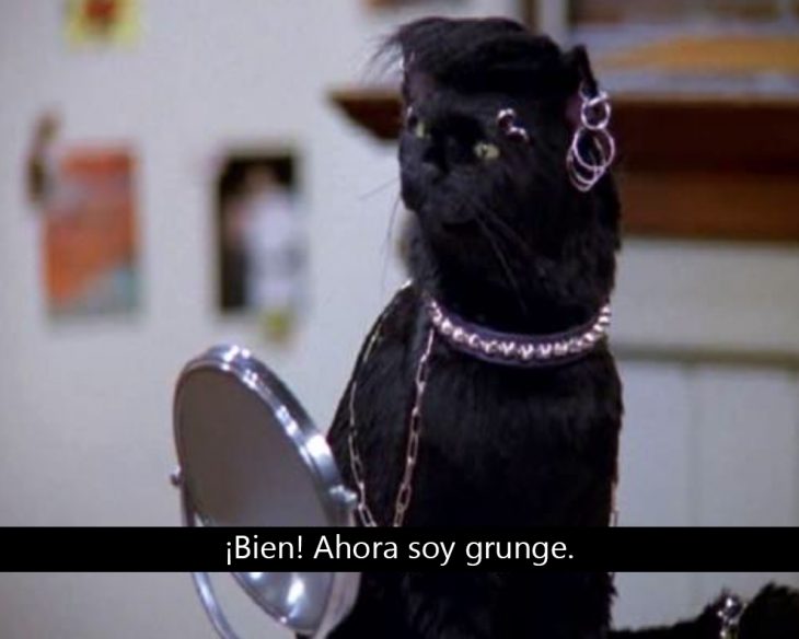 Signos que te dirán si compartes un alma gatuna con Salem Saberhagen