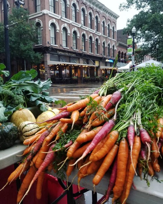 Zanahorias anaranjadas y moradas junto a calabazas en la calle, verduras