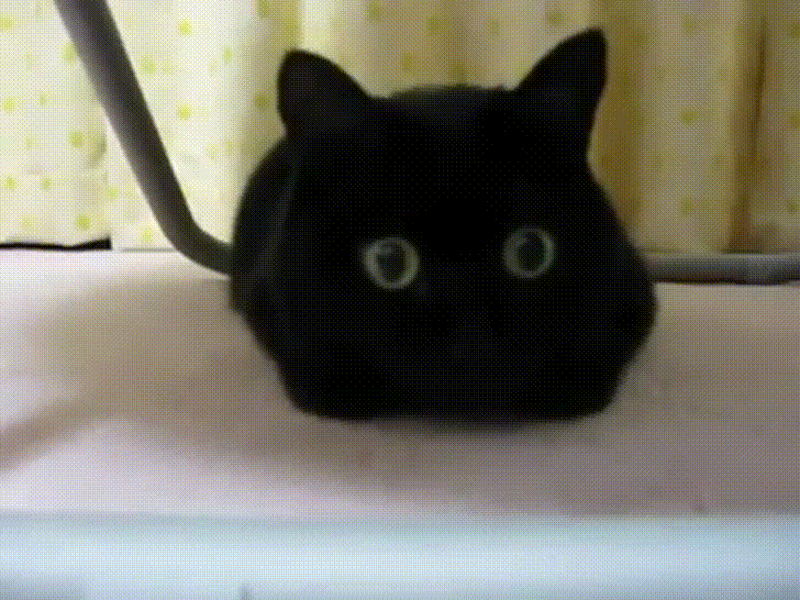 gif gato negro con ojos verdes que se hacen grandes 