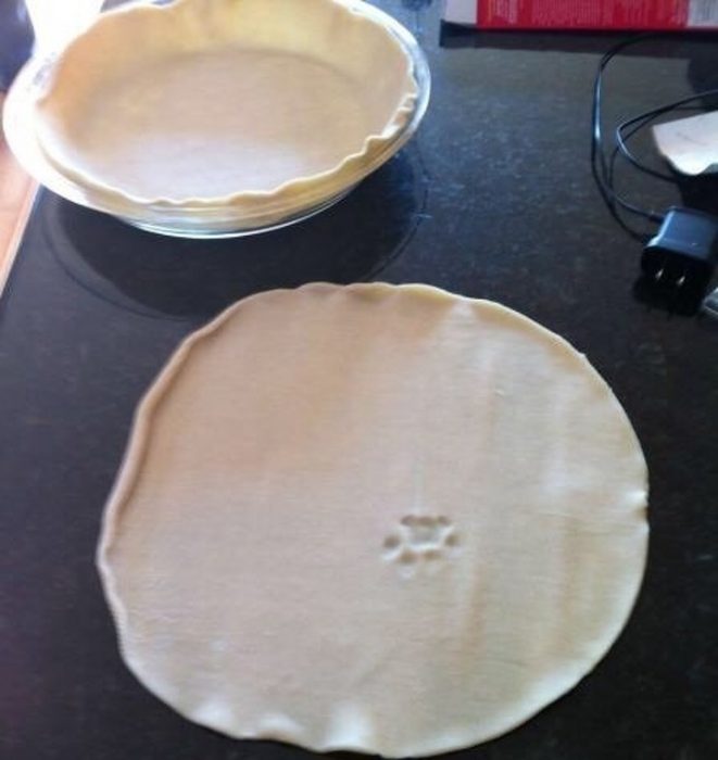 Gatos haciendo desastre sobre la comida, las cosas y cualquier articulo de la casa 