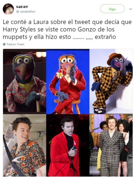 Harry Styles viste igual que Gonzo