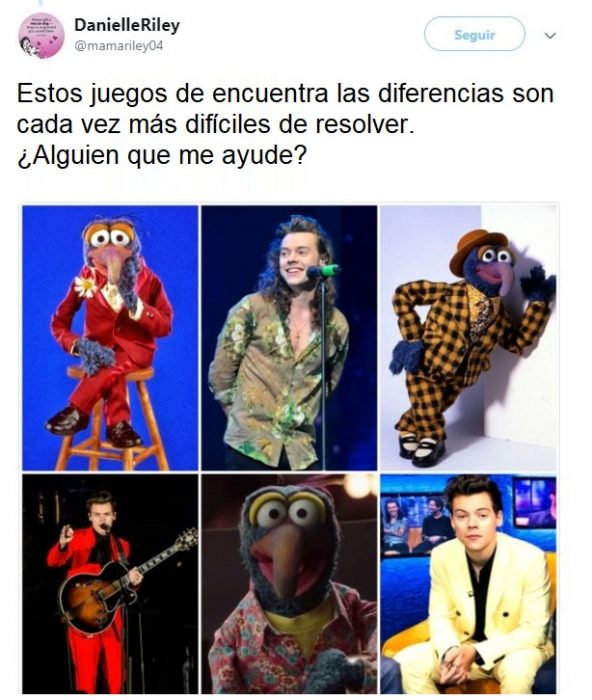 Harry Styles viste igual que Gonzo