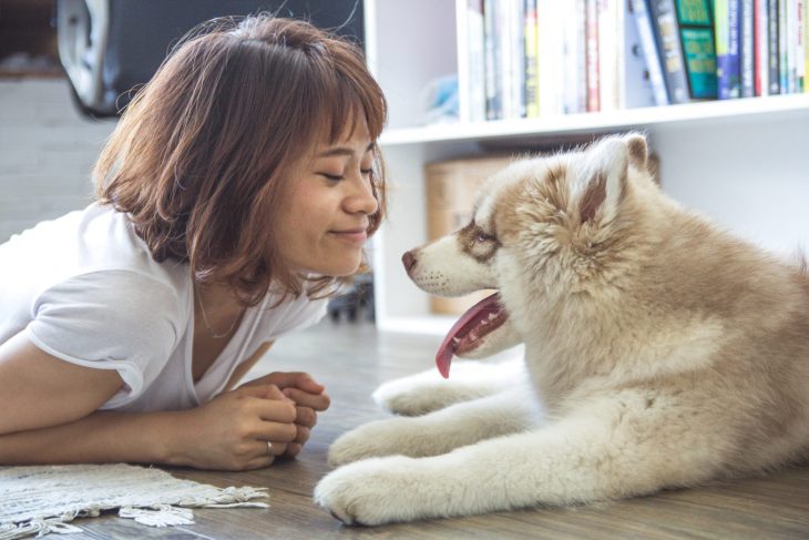 Chica y perro husky cachorro tirados en el suelo