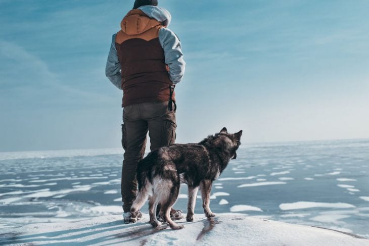 Perrito huskie parado junto a su dueño en un lago congelado