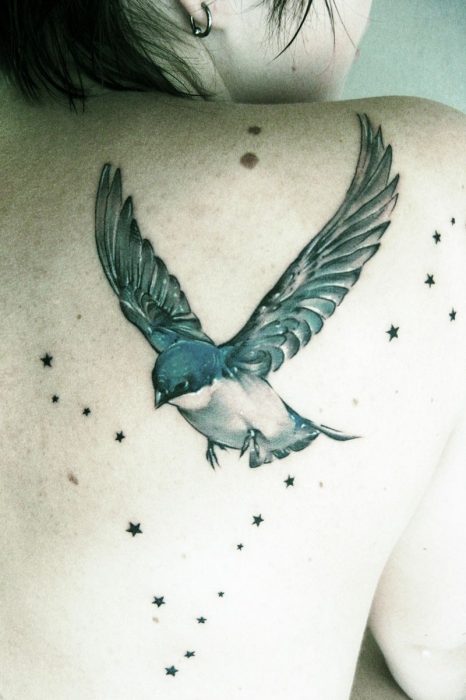 Tatuaje de golondrina y estrellas en la espalda