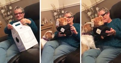 Su nieta le da el mejor regalo de todos: escuchar la voz de su difunto esposo por última vez