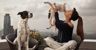 Hablarle a tu perro puede no ser tan descabellado pues podría entender lo que dices