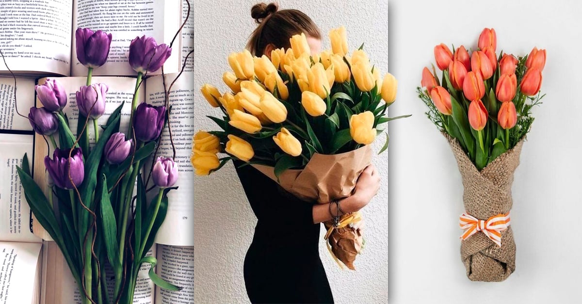 13 Razones por las que es mejor regalar tulipanes que rosas