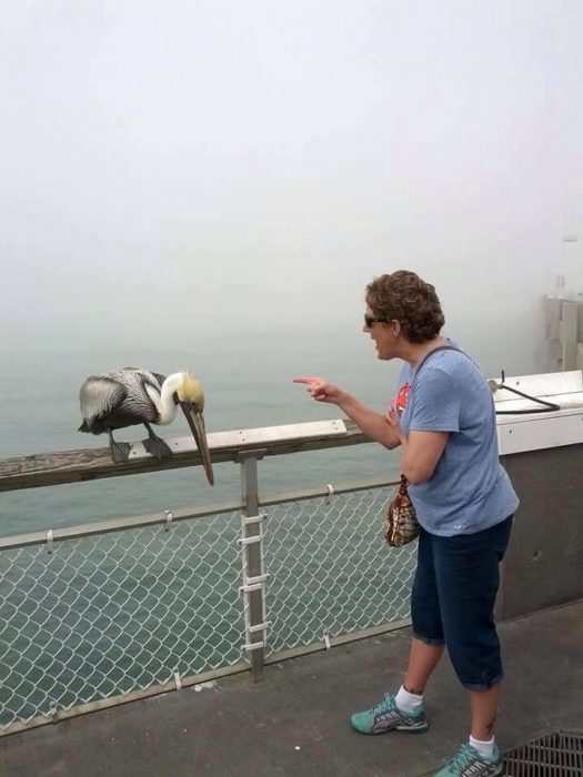 Abuela regañando a cigüeña después de que esta la picó