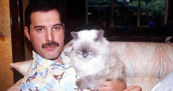 Freddie Mercury sosteniendo a uno de sus gatos