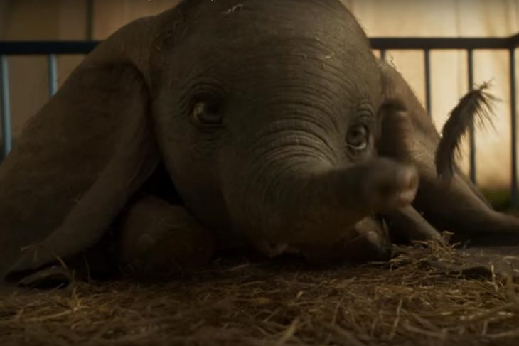 imagenes del nuevo trailer de Dumbo en su versión live action 