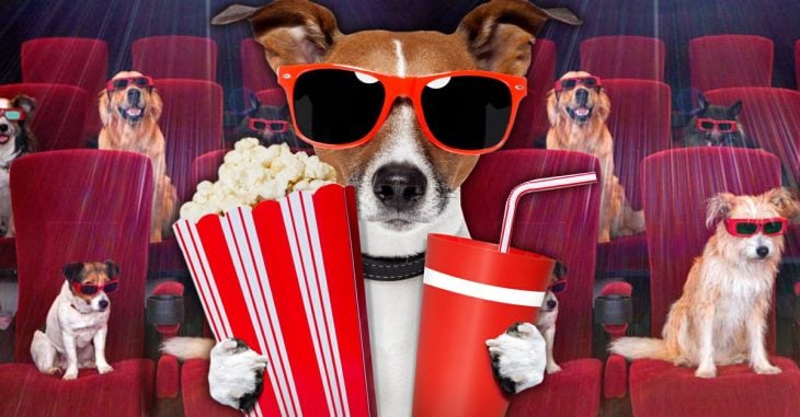 Cine Para Perros