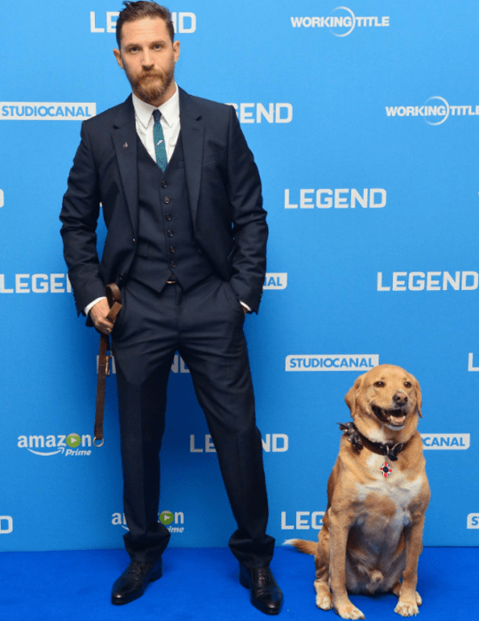 Famosos paseando a sus perros en la calle 