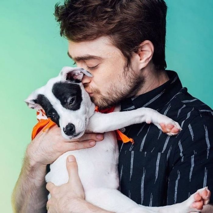 Daniel Radcliff besando a su perro 