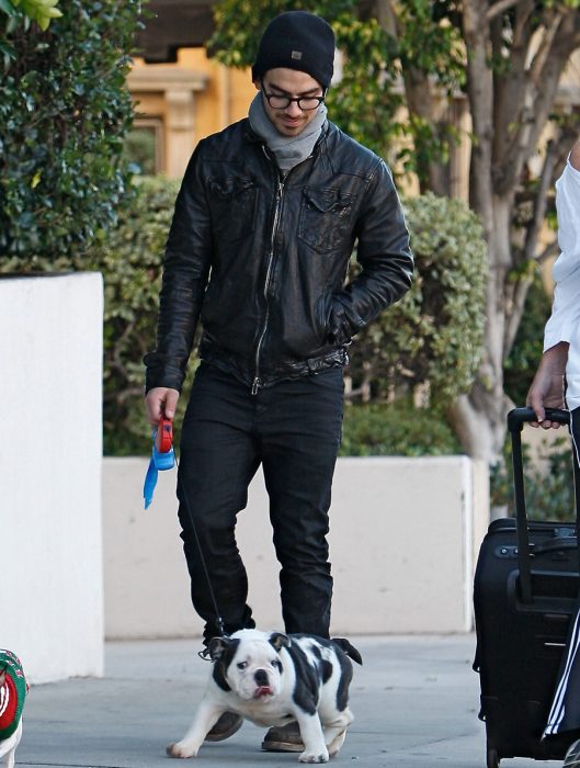 Famosos paseando a sus perros en la calle 