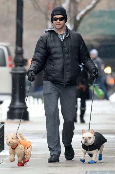 Famosos paseando a sus perros en la calle 