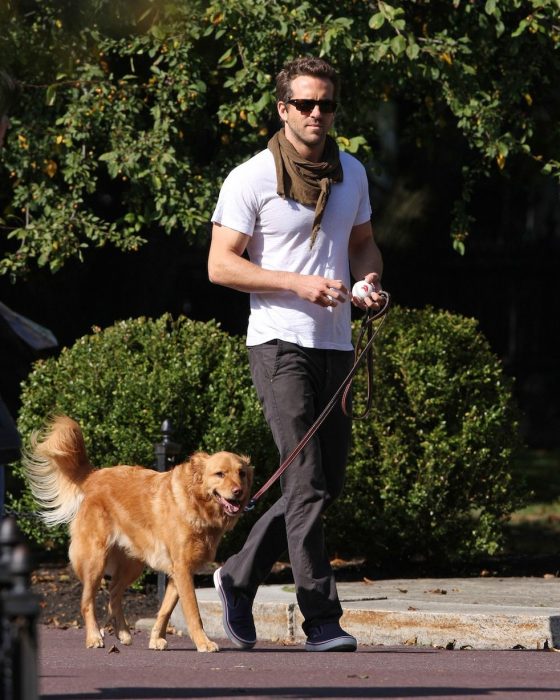 Famosos paseando a sus perros en la calle 