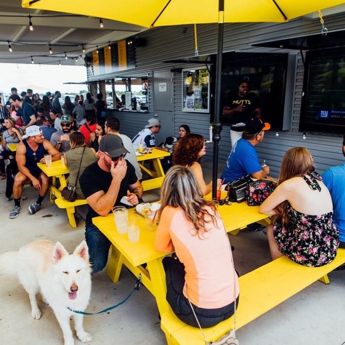 restaurante con perro y mesas amarillas 