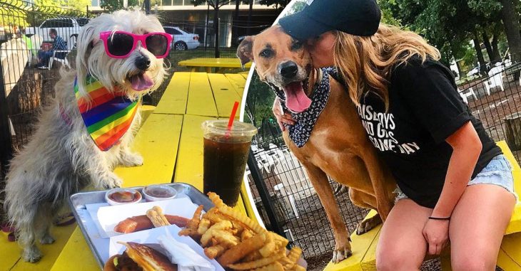 Trabaja de 'niñera de perros' en restaurante donde las mascotas son bienvenidas y gana 100 dólares la hora 